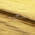 Текстильный материал "Диско"#1805 с покрытием РЕТ, 40гр/м2, 100% полиэстер, цв.5-золото - купить в Батайске. Цена 412.36 руб.