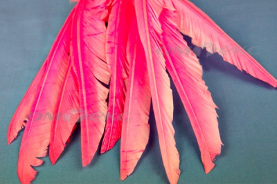 Декоративный Пучок из перьев, перо 25см/розовый - купить в Батайске. Цена: 14.40 руб.
