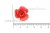 Украшение "Розы малые №1" 20мм - купить в Батайске. Цена: 32.49 руб.