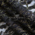 Кружевное полотно XD LACE 1-4, 80 гр/м2, шир.150см, цвет чёрный - купить в Батайске. Цена 245.94 руб.