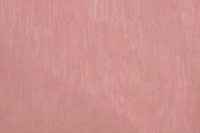 Органза однотонная "Амелия" С19 (Розовый) 280 см - купить в Батайске. Цена 303.09 руб.