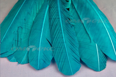 Декоративный Пучок из перьев, перо 24см/голубой - купить в Батайске. Цена: 12.19 руб.