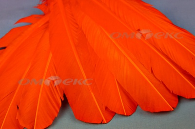 Декоративный Пучок из перьев, перо 24см/оранжевый - купить в Батайске. Цена: 12.19 руб.