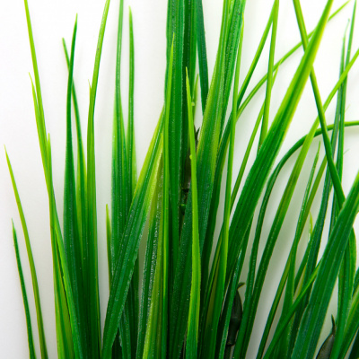 Трава искусственная -2, шт (осока 41см/8 см)				 - купить в Батайске. Цена: 104.57 руб.