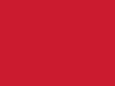 Сетка подкладочная красный, 60г/м2 (10 м/кг) - купить в Батайске. Цена 885.73 руб.
