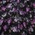 Плательная ткань "Фламенко" 20.1, 80 гр/м2, шир.150 см, принт растительный - купить в Батайске. Цена 241.49 руб.