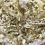 Трикотажное полотно, Сетка с пайетками, шир.130 см, #315, цв.-белый/золото - купить в Батайске. Цена 693.39 руб.