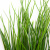 Трава искусственная -4, шт  (осока 50 см/8 см  7 листов)				 - купить в Батайске. Цена: 130.73 руб.